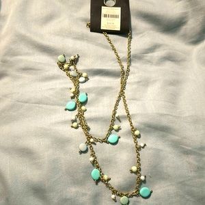 Banana Republic long chain necklace